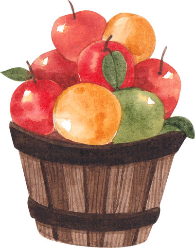 Watercolor Bucket of Fruits